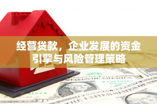 周口经营贷款，企业发展的资金引擎与风险管理策略
