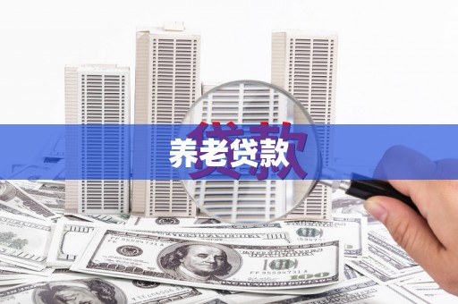 周口养老贷款