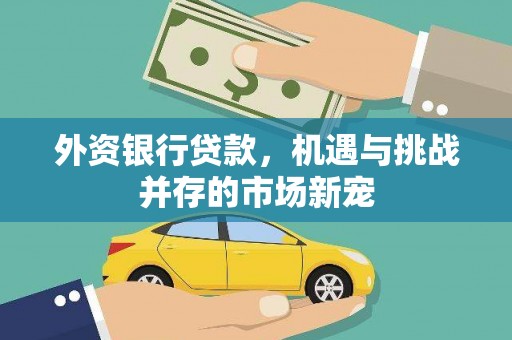 周口外资银行贷款，机遇与挑战并存的市场新宠