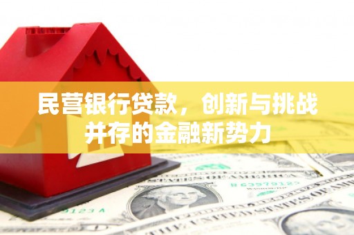 周口民营银行贷款，创新与挑战并存的金融新势力