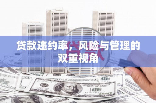 周口贷款违约率，风险与管理的双重视角