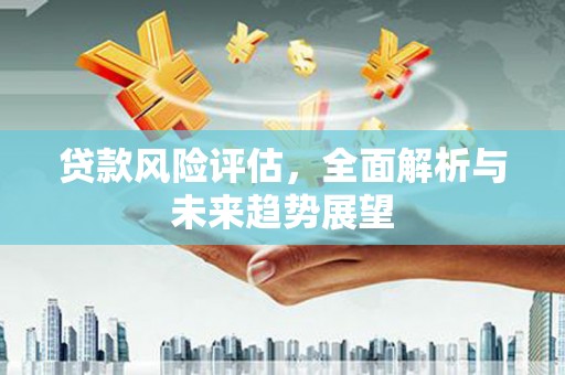 周口贷款风险评估，全面解析与未来趋势展望