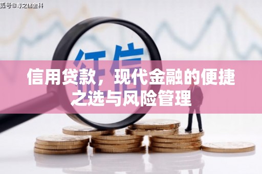 周口信用贷款，现代金融的便捷之选与风险管理