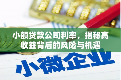 周口小额贷款公司利率，揭秘高收益背后的风险与机遇