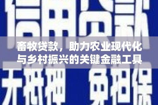 周口畜牧贷款，助力农业现代化与乡村振兴的关键金融工具