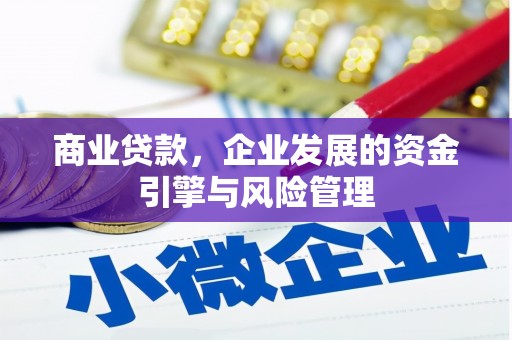 周口商业贷款，企业发展的资金引擎与风险管理