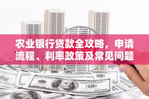 周口农业银行贷款全攻略，申请流程、利率政策及常见问题解析