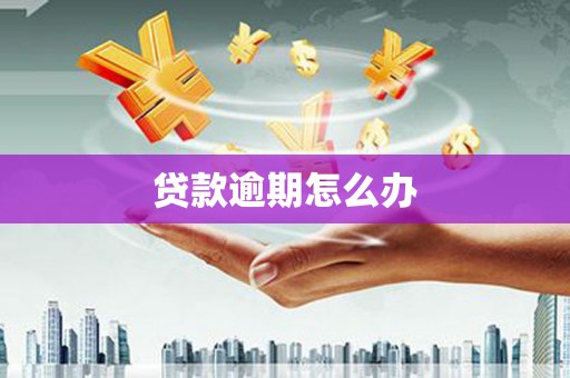 周口贷款逾期怎么办