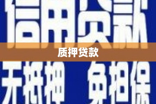 周口质押贷款