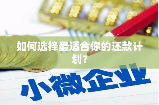 周口如何选择最适合你的还款计划？