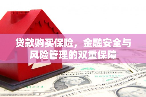 周口贷款购买保险，金融安全与风险管理的双重保障