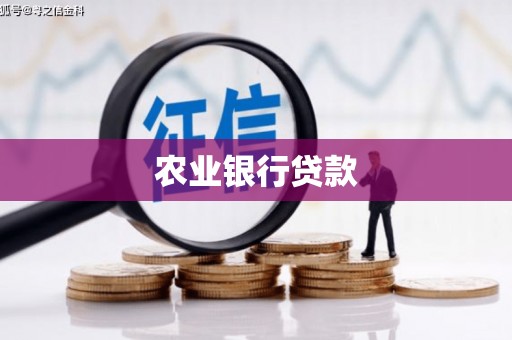 周口农业银行贷款