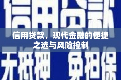 周口信用贷款，现代金融的便捷之选与风险控制
