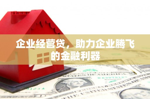 周口企业经营贷，助力企业腾飞的金融利器
