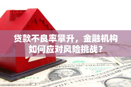 周口贷款不良率攀升，金融机构如何应对风险挑战？
