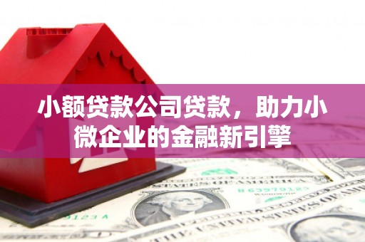 周口小额贷款公司贷款，助力小微企业的金融新引擎
