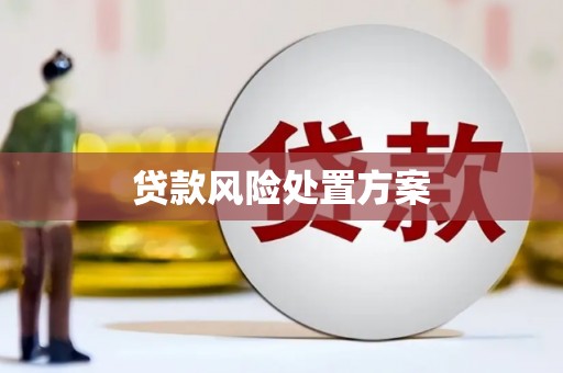 周口贷款风险处置方案