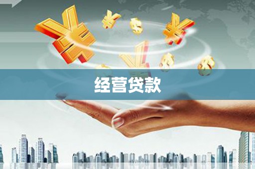 周口经营贷款
