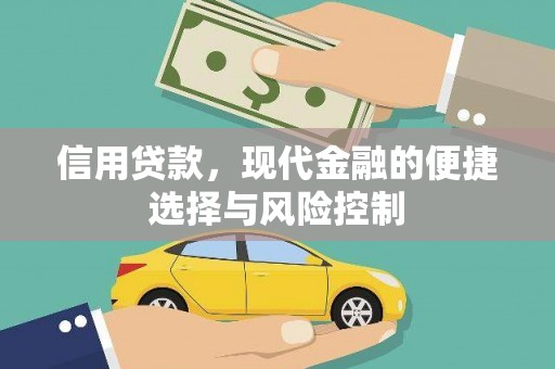 周口信用贷款，现代金融的便捷选择与风险控制