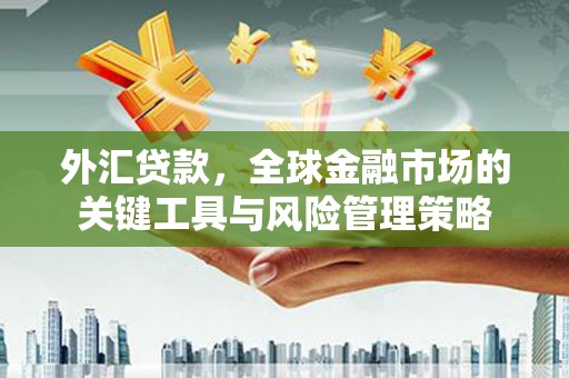 周口外汇贷款，全球金融市场的关键工具与风险管理策略