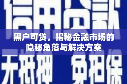 周口黑户可贷，揭秘金融市场的隐秘角落与解决方案