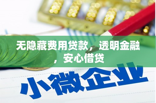 周口无隐藏费用贷款，透明金融，安心借贷