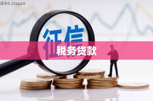 周口税务贷款