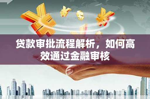 周口贷款审批流程解析，如何高效通过金融审核