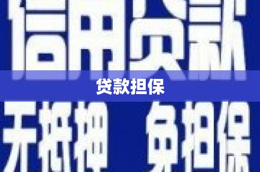 周口贷款担保