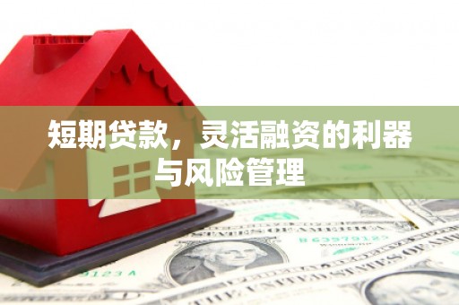 周口短期贷款，灵活融资的利器与风险管理
