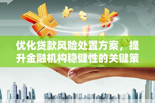 周口优化贷款风险处置方案，提升金融机构稳健性的关键策略
