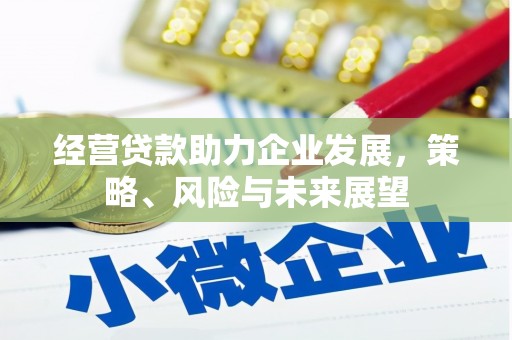 周口经营贷款助力企业发展，策略、风险与未来展望