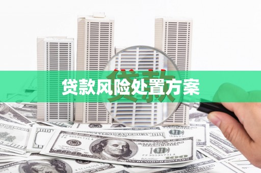 周口贷款风险处置方案