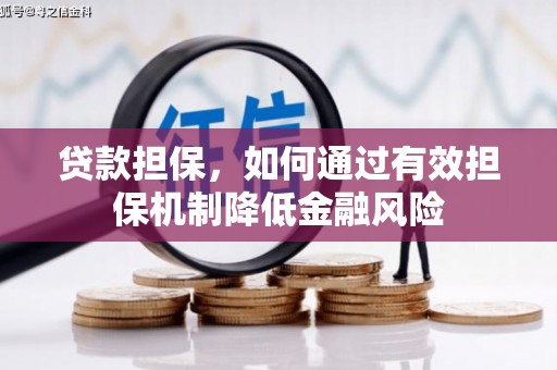 周口贷款担保，如何通过有效担保机制降低金融风险