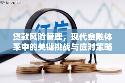 周口贷款风险管理，现代金融体系中的关键挑战与应对策略