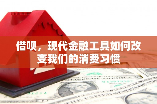 周口借呗，现代金融工具如何改变我们的消费习惯