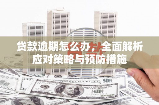 周口贷款逾期怎么办，全面解析应对策略与预防措施