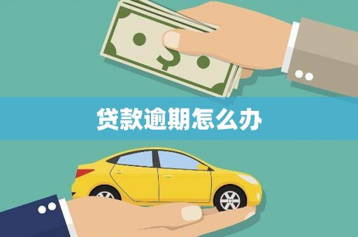 周口贷款逾期怎么办