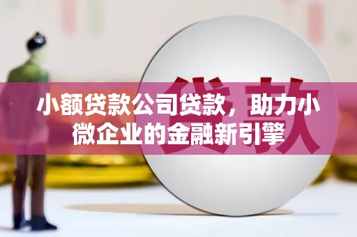周口小额贷款公司贷款，助力小微企业的金融新引擎