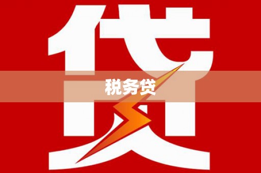 周口税务贷