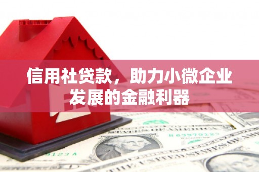 周口信用社贷款，助力小微企业发展的金融利器