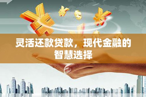 周口灵活还款贷款，现代金融的智慧选择