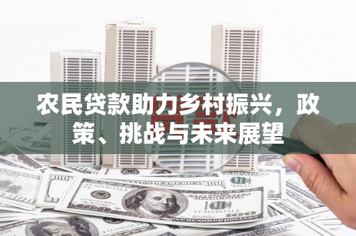 周口农民贷款助力乡村振兴，政策、挑战与未来展望
