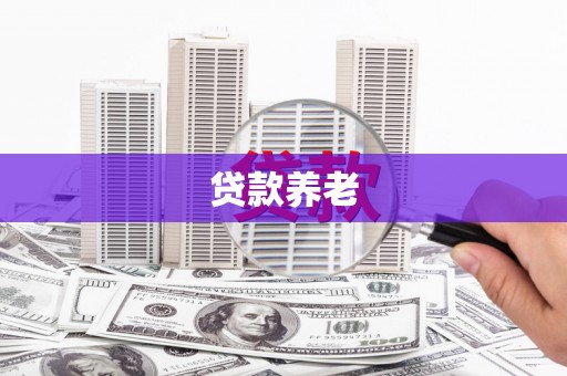 周口贷款养老
