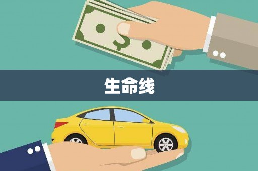周口生命线