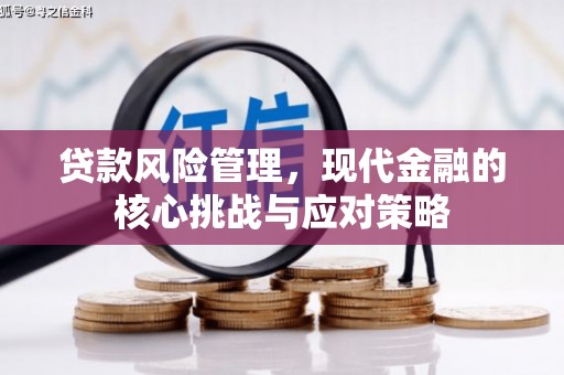 周口贷款风险管理，现代金融的核心挑战与应对策略