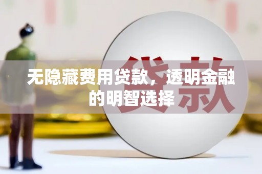周口无隐藏费用贷款，透明金融的明智选择