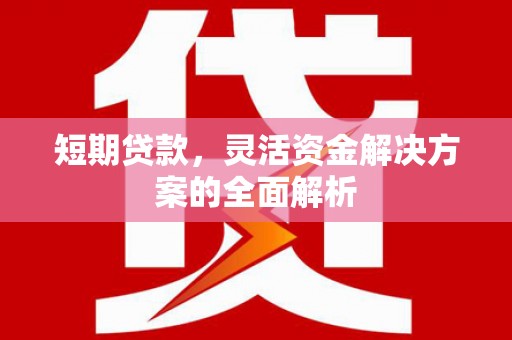 周口短期贷款，灵活资金解决方案的全面解析