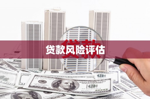周口贷款风险评估