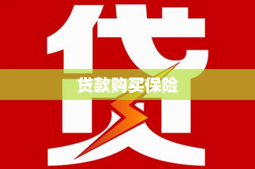 周口贷款购买保险